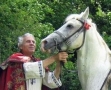 Cum s-a împrietenit un oltean cu un cal arab